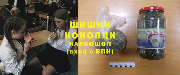 прущие грибы Бородино
