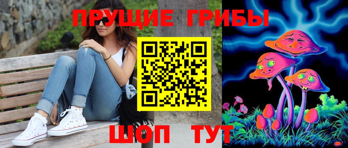 Дедовск  Галлюциногенные грибы Psilocybine cubensis  Вход с VPN  Псилоцибиновые грибы мицелий 