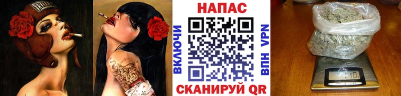 Конопля Ganja  Дедовск 